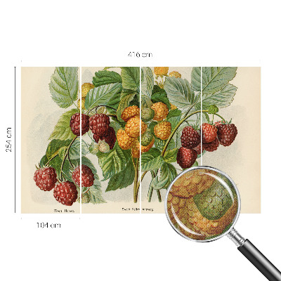 Foto tapeta za dječju sobu Klasične maline
