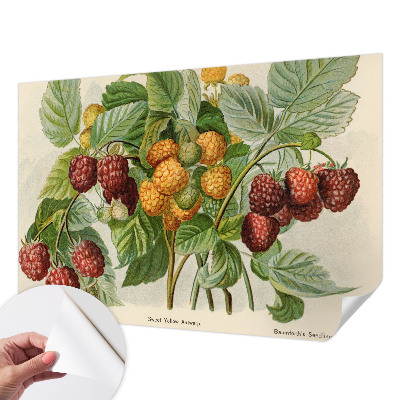 Foto tapeta za dječju sobu Klasične maline
