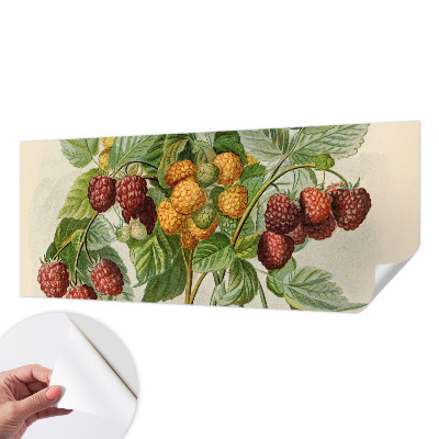 Foto tapeta za dječju sobu Klasične maline