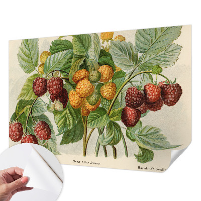 Foto tapeta za dječju sobu Klasične maline