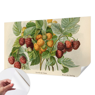Foto tapeta za dječju sobu Klasične maline