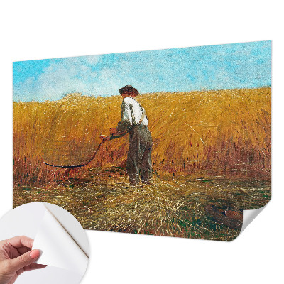 Foto tapet Žetva na suncu