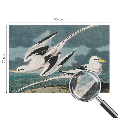 Foto tapeta Ptice uz more