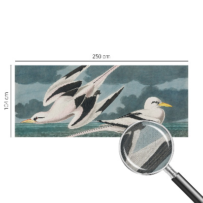 Foto tapeta Ptice uz more