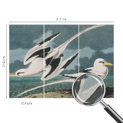 Foto tapeta Ptice uz more