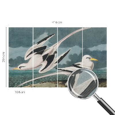 Foto tapeta Ptice uz more