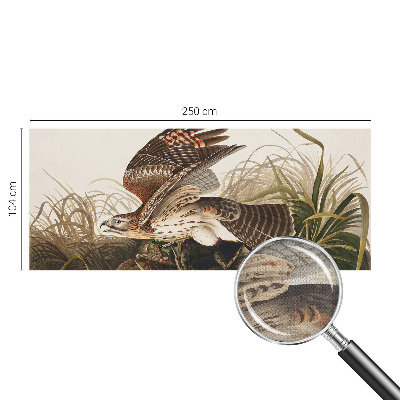 Fototapeta Krilata ljepotica