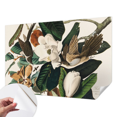Zidna tapeta Ptice magnolije