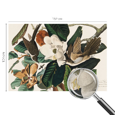 Zidna tapeta Ptice magnolije