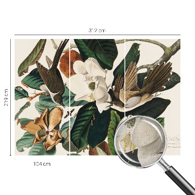 Zidna tapeta Ptice magnolije