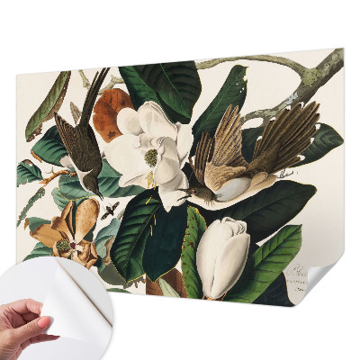 Zidna tapeta Ptice magnolije