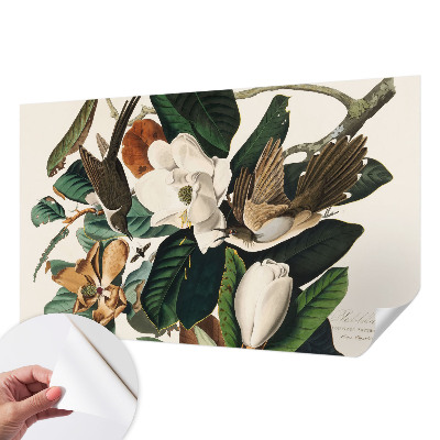 Zidna tapeta Ptice magnolije