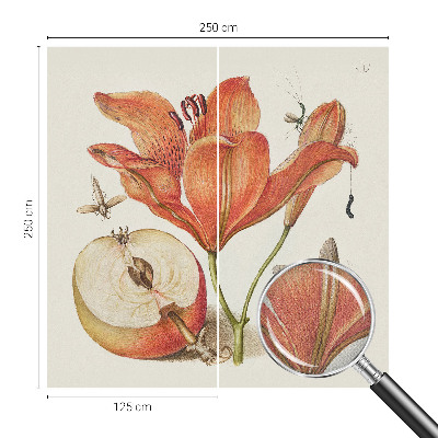 Foto tapet Botanička ilustracija