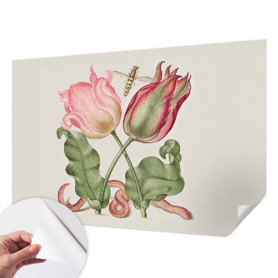 Foto tapeta za dječju sobu Ljepota tulipana