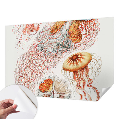 Foto tapeta Otmjena meduza