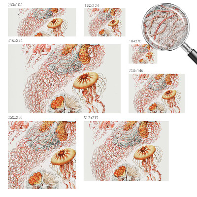 Foto tapeta Otmjena meduza