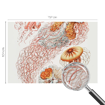 Foto tapeta Otmjena meduza
