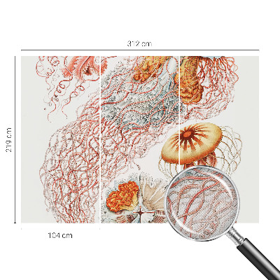 Foto tapeta Otmjena meduza