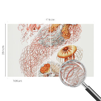 Foto tapeta Otmjena meduza