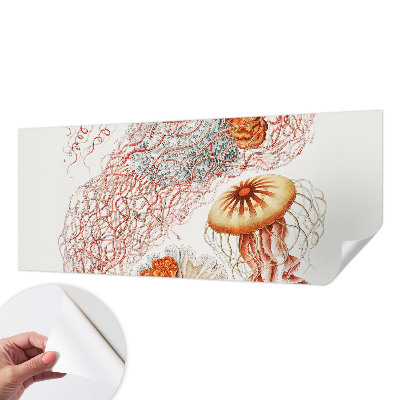 Foto tapeta Otmjena meduza
