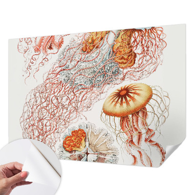 Foto tapeta Otmjena meduza