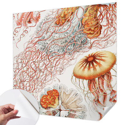 Foto tapeta Otmjena meduza