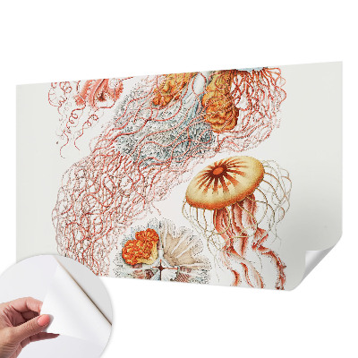 Foto tapeta Otmjena meduza