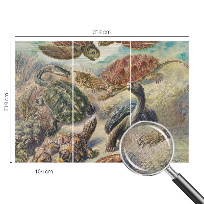 Zidna tapeta Fauna kornjača
