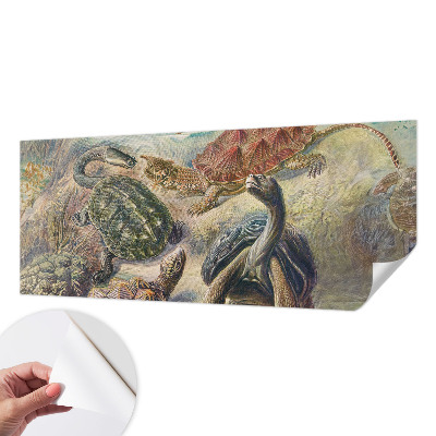 Zidna tapeta Fauna kornjača