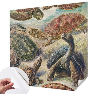 Zidna tapeta Fauna kornjača