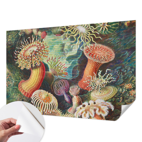 Samoljepljiva fototapeta Otmjene anemone