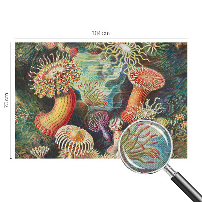 Samoljepljiva fototapeta Otmjene anemone