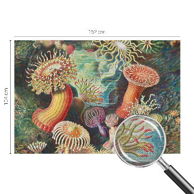 Samoljepljiva fototapeta Otmjene anemone