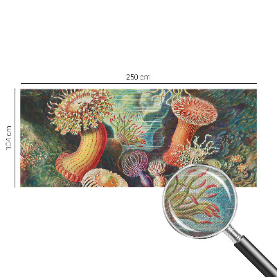Samoljepljiva fototapeta Otmjene anemone