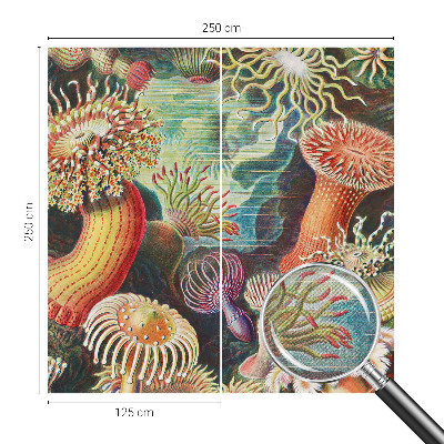 Samoljepljiva fototapeta Otmjene anemone