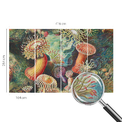 Samoljepljiva fototapeta Otmjene anemone