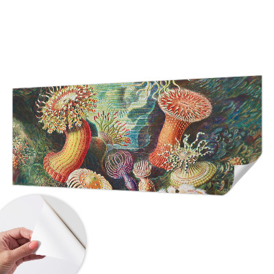 Samoljepljiva fototapeta Otmjene anemone