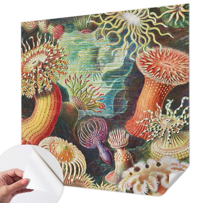 Samoljepljiva fototapeta Otmjene anemone
