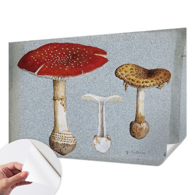 Samoljepljiva fototapeta Gravure gljiva