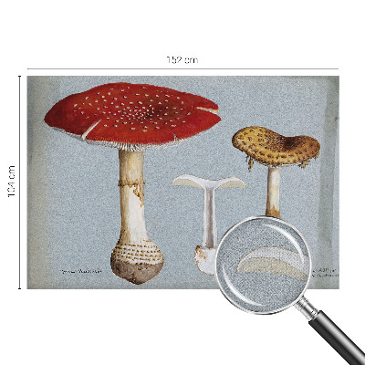 Samoljepljiva fototapeta Gravure gljiva