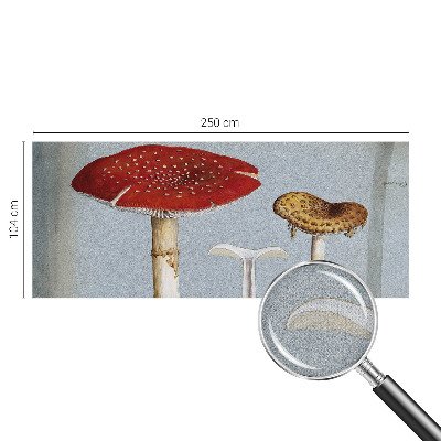 Samoljepljiva fototapeta Gravure gljiva