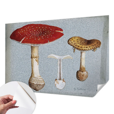 Samoljepljiva fototapeta Gravure gljiva