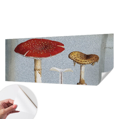 Samoljepljiva fototapeta Gravure gljiva
