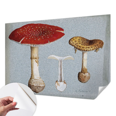 Samoljepljiva fototapeta Gravure gljiva