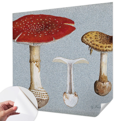 Samoljepljiva fototapeta Gravure gljiva