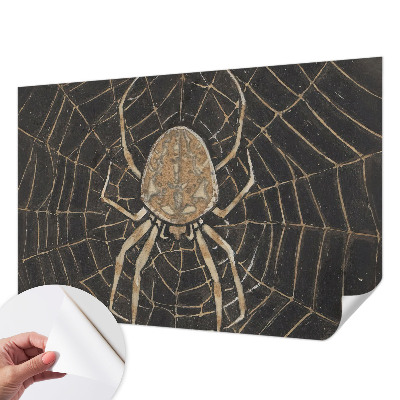 Fototapeta Paukova mreža