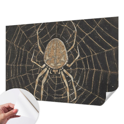 Fototapeta Paukova mreža