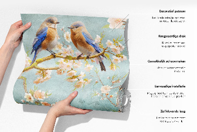 Fototapeta Paukova mreža