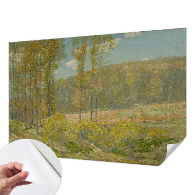 Dječja fototapeta Šumski krajolik
