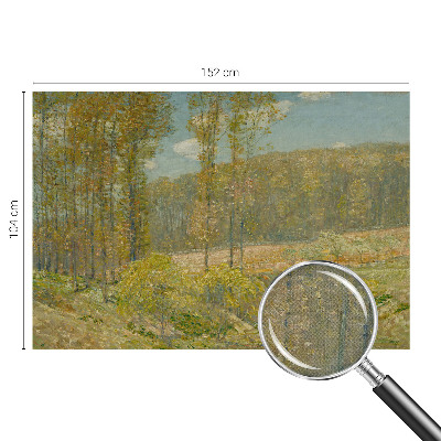 Dječja fototapeta Šumski krajolik
